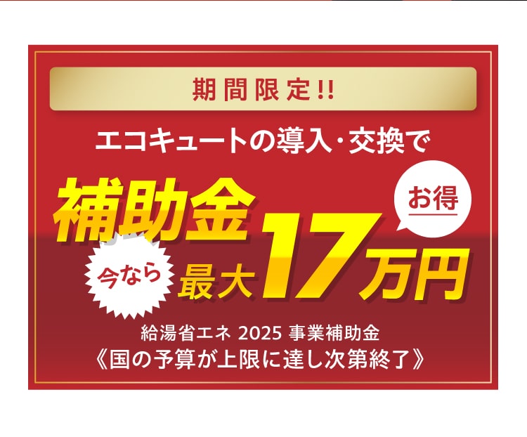 期間限定